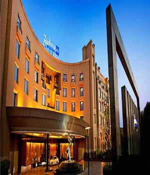 radisson-delhi-hotel escorts service in delhi
